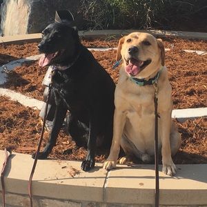 Meet your Posher, Wes